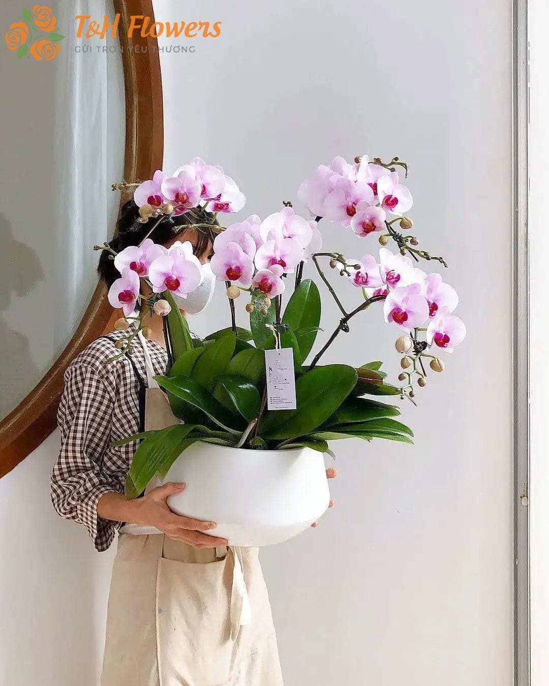 hoa chúc mừng mẹ tròn con vuông
