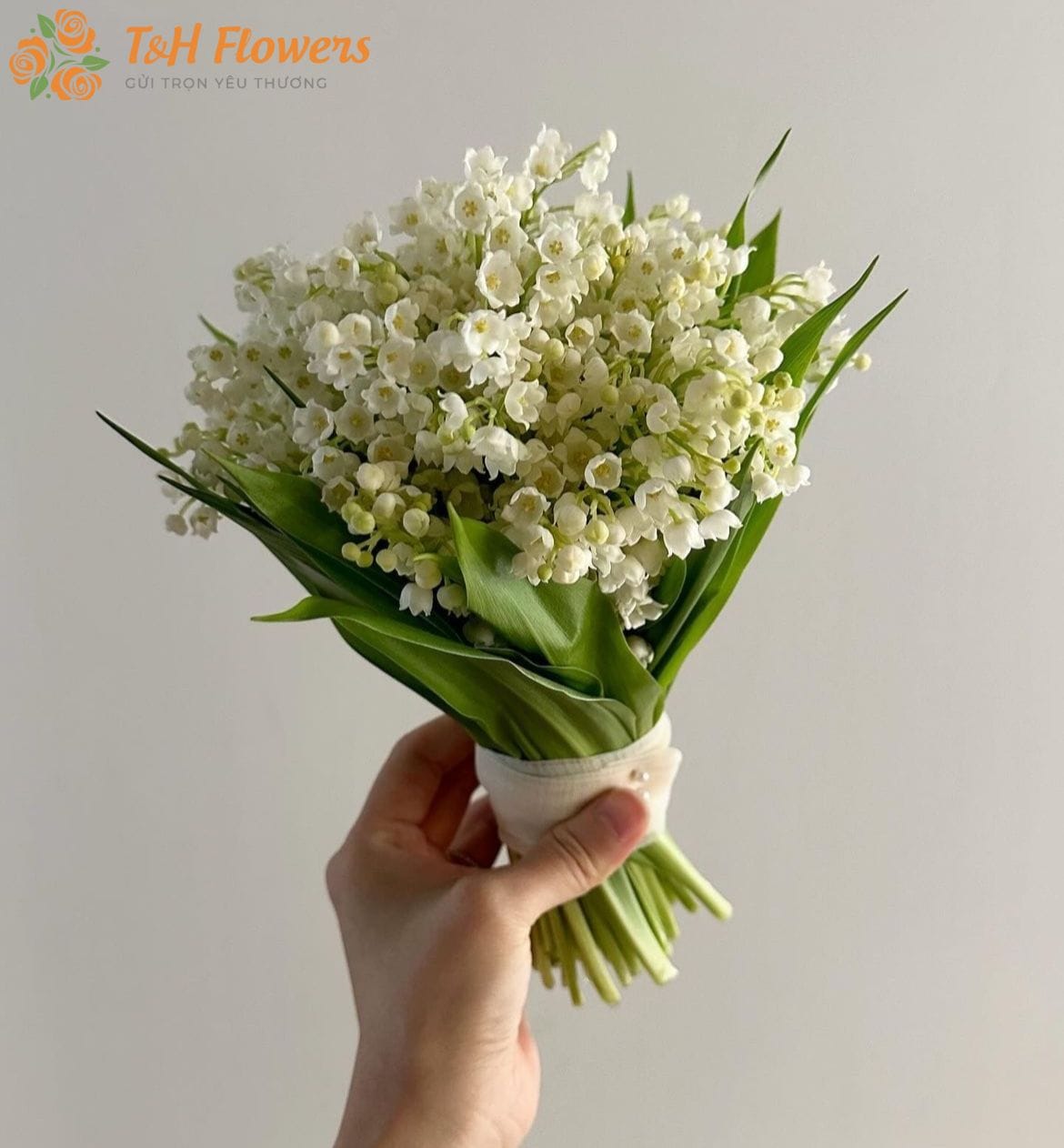 ý nghĩa hoa linh lan