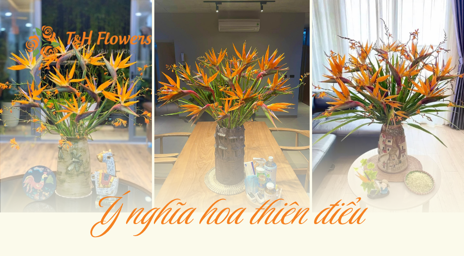 Ý nghĩa hoa Thiên Điểu