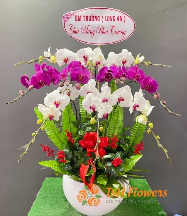 Shop hoa tươi huyện Bình Chánh