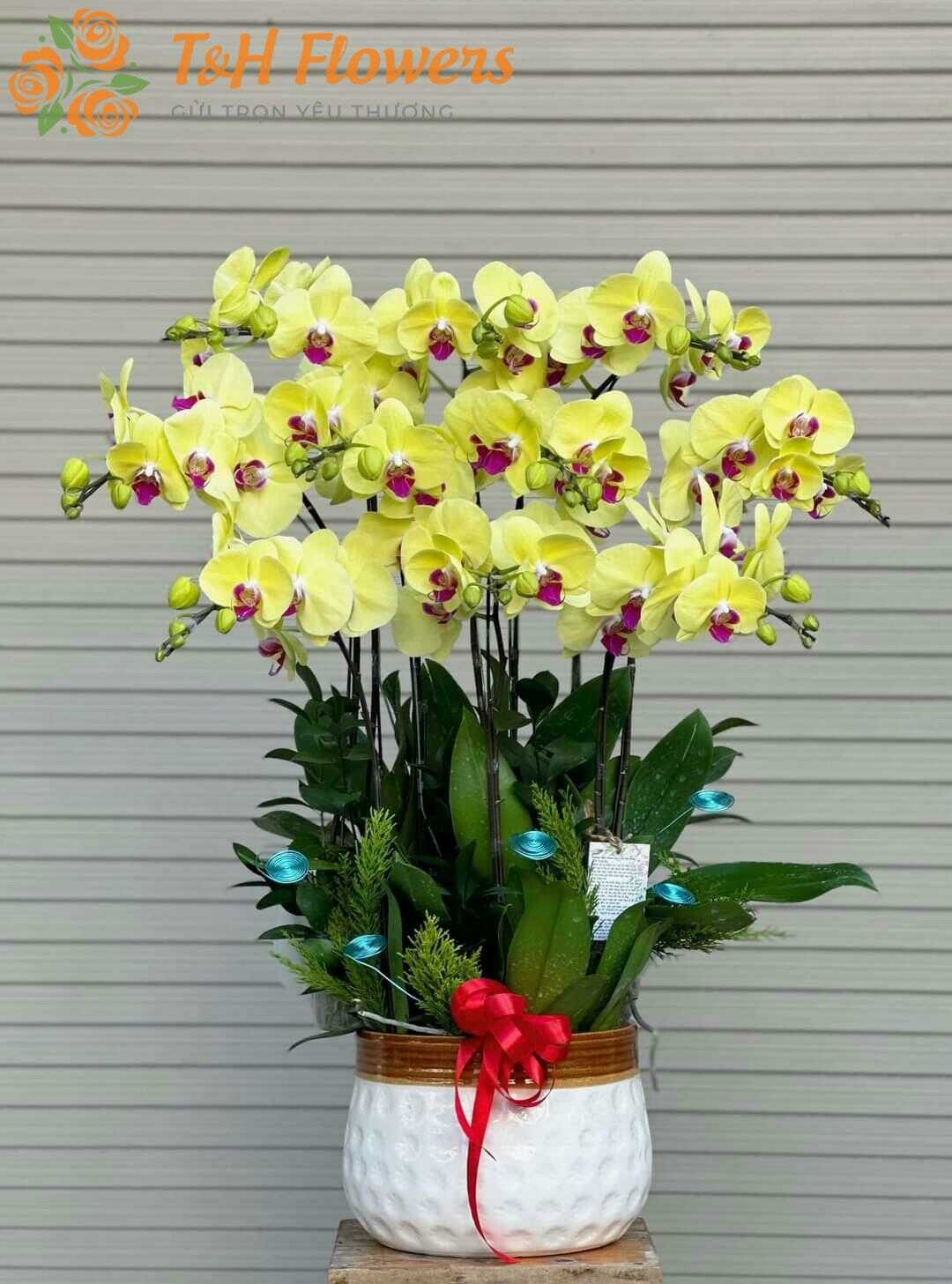 Shop hoa tươi phường Bình Lợi Trung