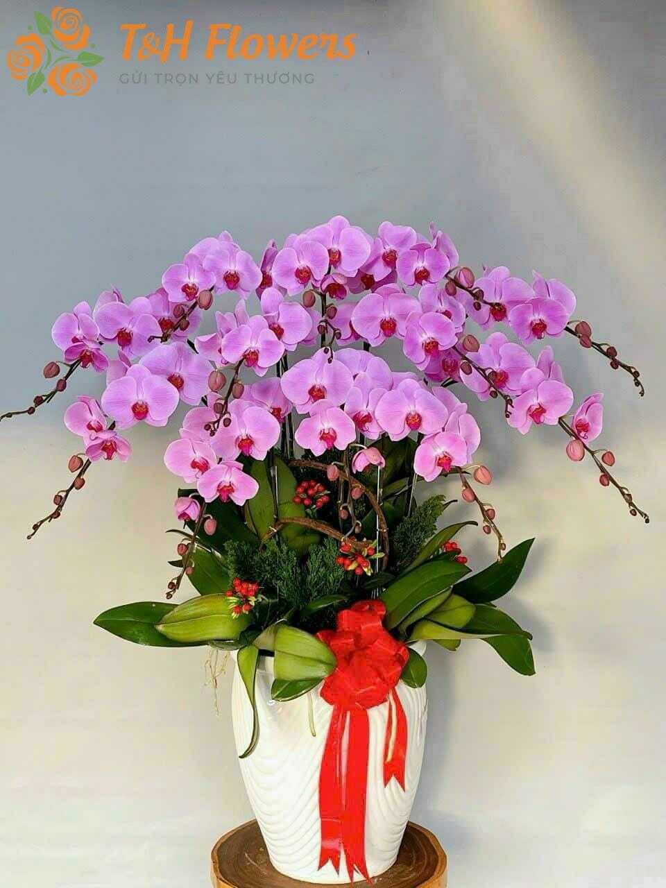 Shop hoa tươi phường Bình Lợi Trung
