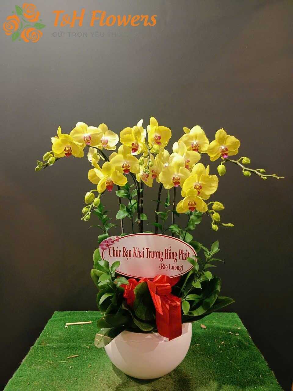 Shop hoa tươi phường Cát Lái