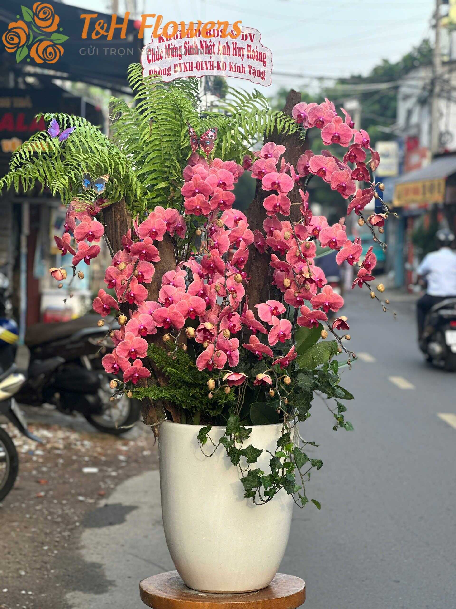Shop hoa tươi phường Chánh Phú Hòa