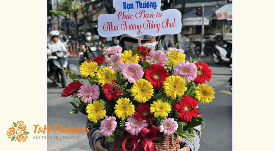 TOP 50+ mẫu Hoa đồng tiền đẹp, mang lại tài lộc