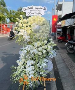 hoa chia buồn