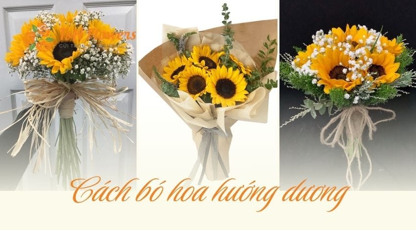 Hướng dẫn cách bó hoa hướng dương đẹp, đơn giản