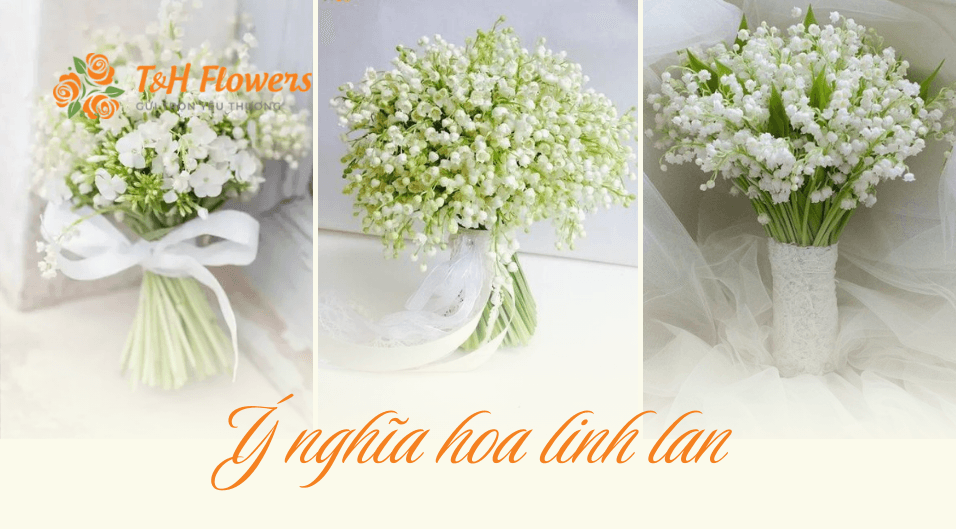 ý nghĩa hoa linh lan